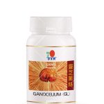 GL - 30